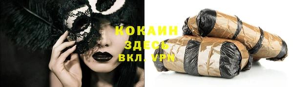 тгк Абаза