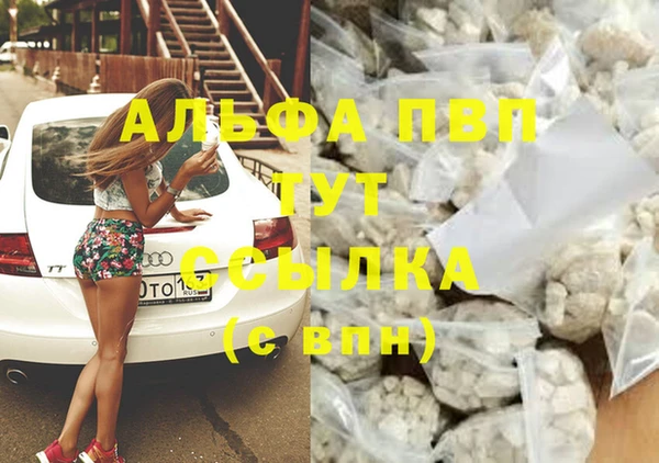 тгк Абаза