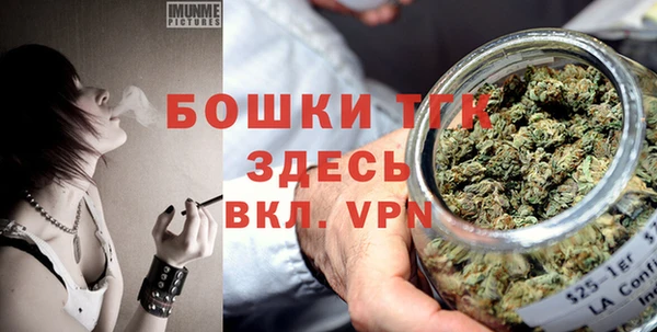 тгк Абаза